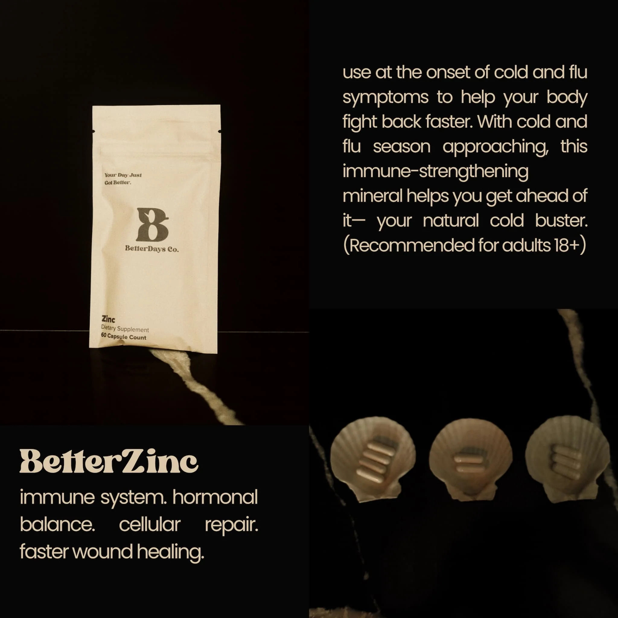 BetterZinc - Image 4